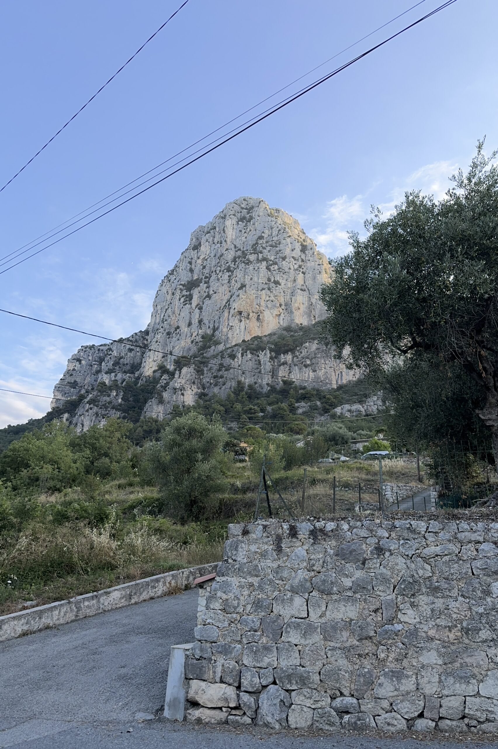 Udsigt fra M&oslash;llehuset